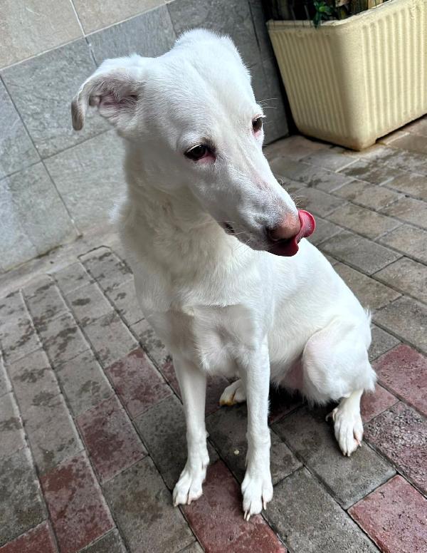 Genna Cerca Famiglia